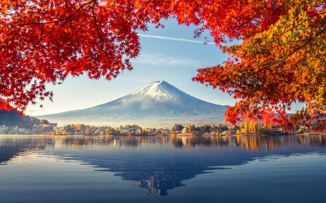 A Different Culture: Japan