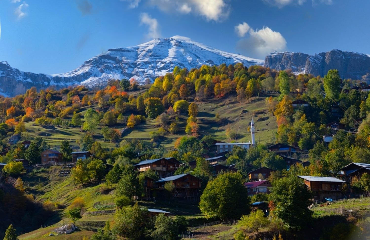 Artvin Maçahel Yaylası Artvin Maçahel Yaylası