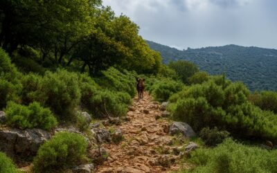 Likya Yolu Yürüyüşü için Gerekli Malzemeler