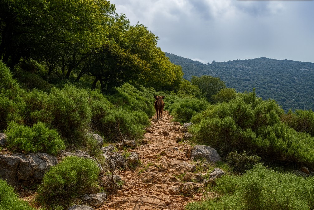 Likya Yolu Yürüyüşü için Gerekli Malzemeler